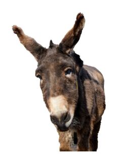 photo/e9adbf37-9e8a-4576-a298-e7b489d8b79c-3